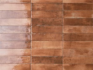 Mojave Cotto Orange 2.5 x 10